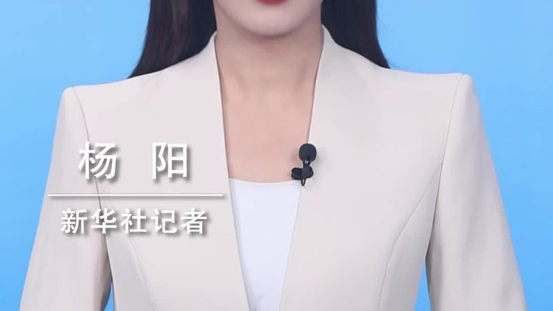 企业数字化管理平台：类型与关键要素解析**